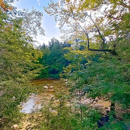 79 Covered Bridge Lane バートレット エクステリア 写真