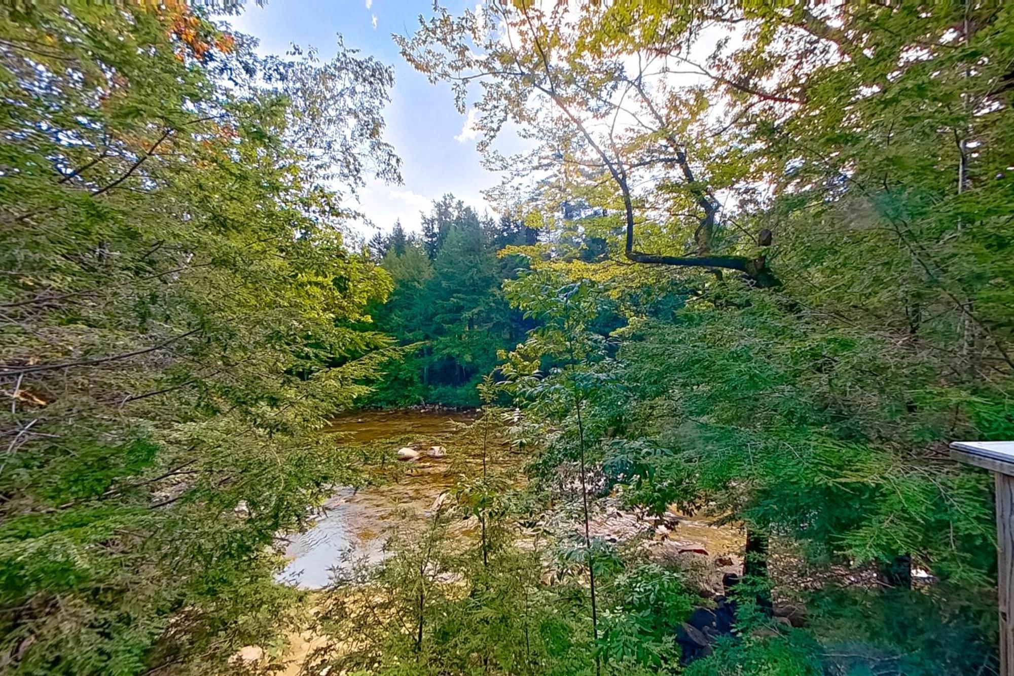 79 Covered Bridge Lane バートレット エクステリア 写真
